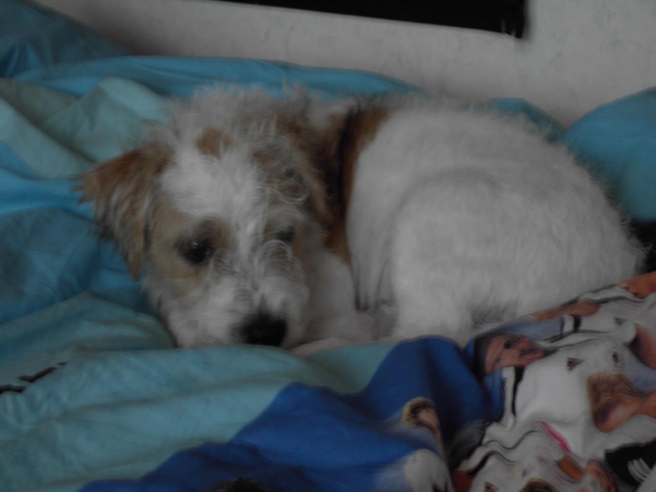 Jack