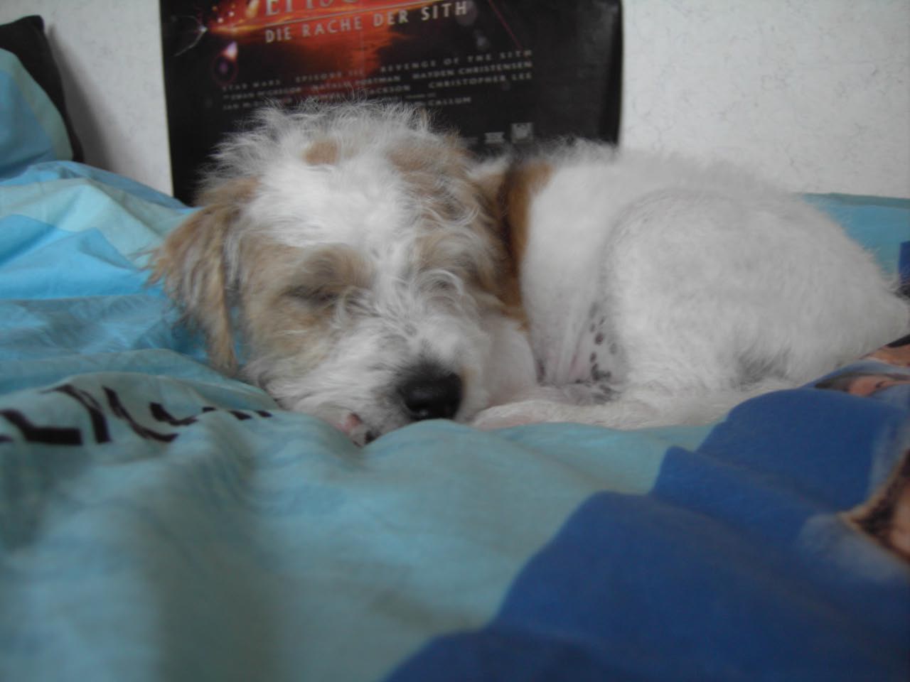 Jack