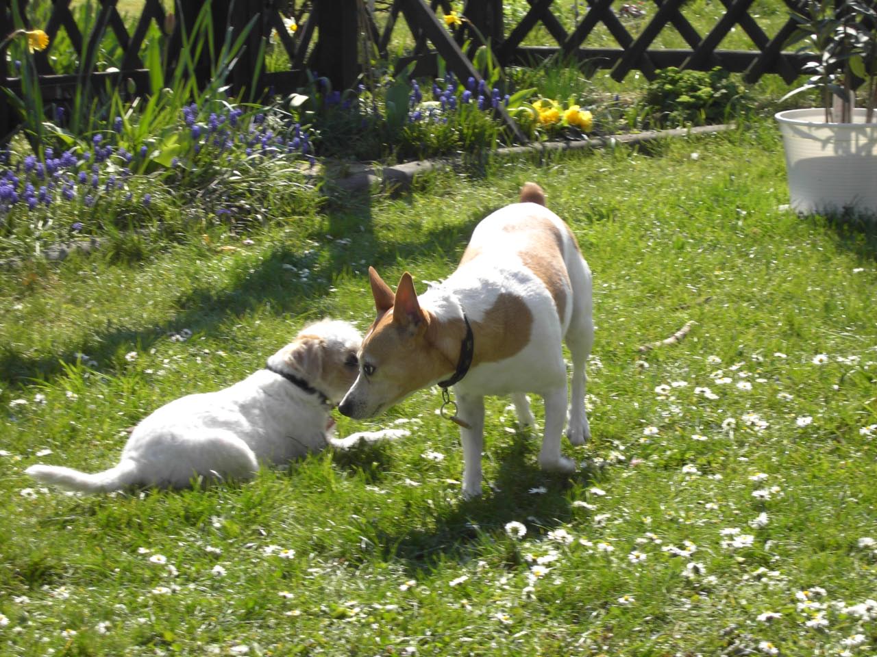 Ostern 2007
