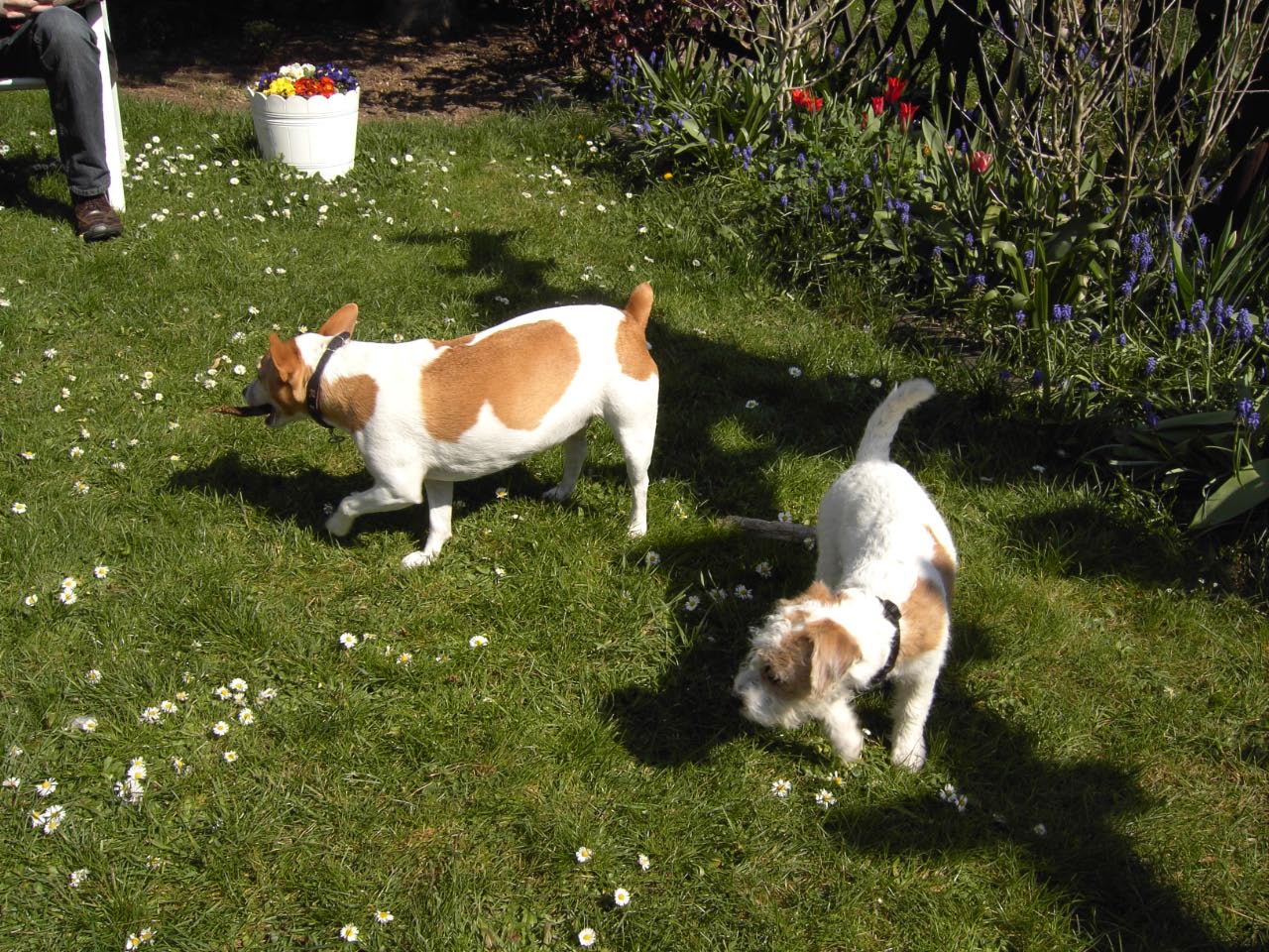 Ostern 2007