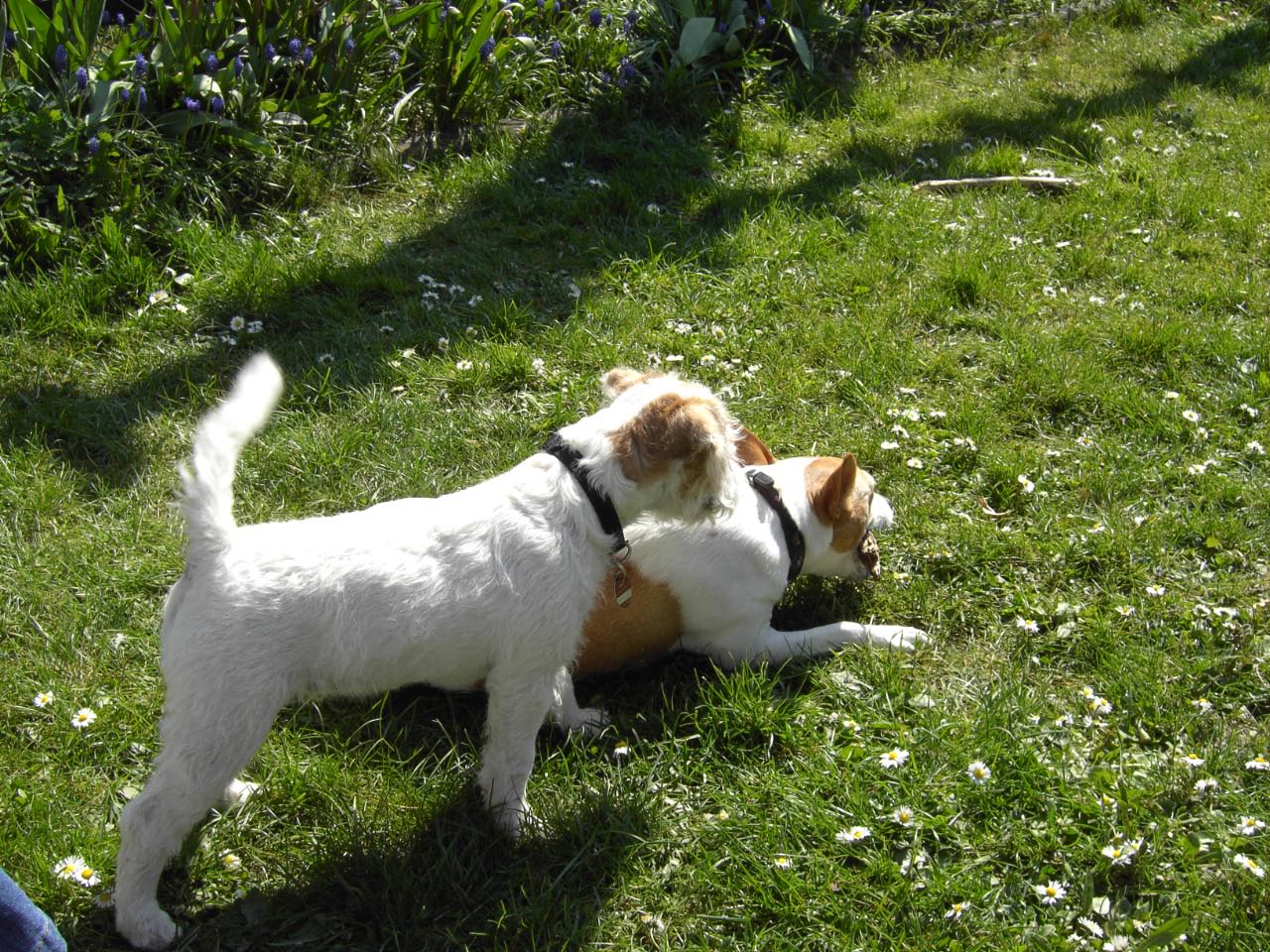 Ostern 2007