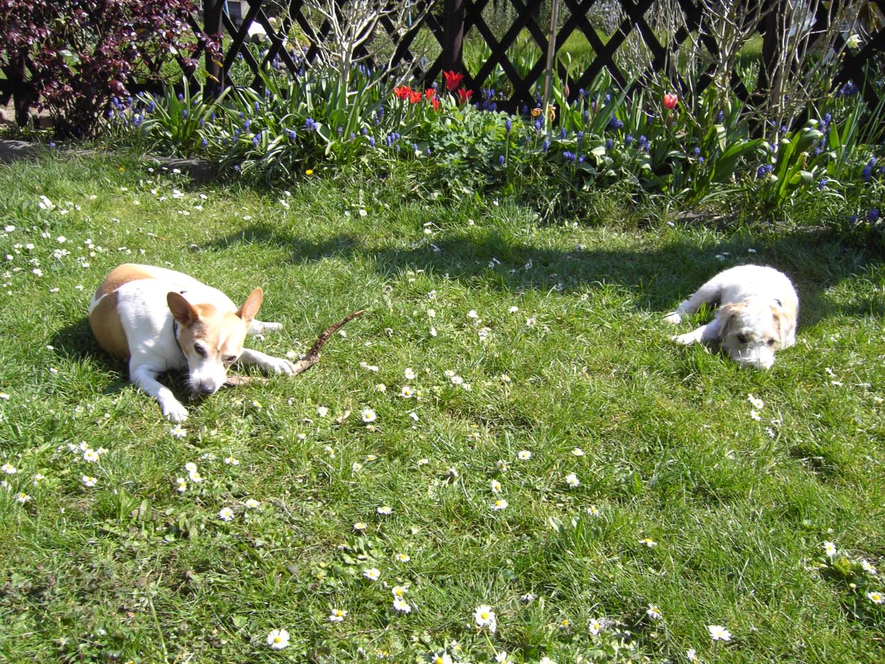 Ostern 2007