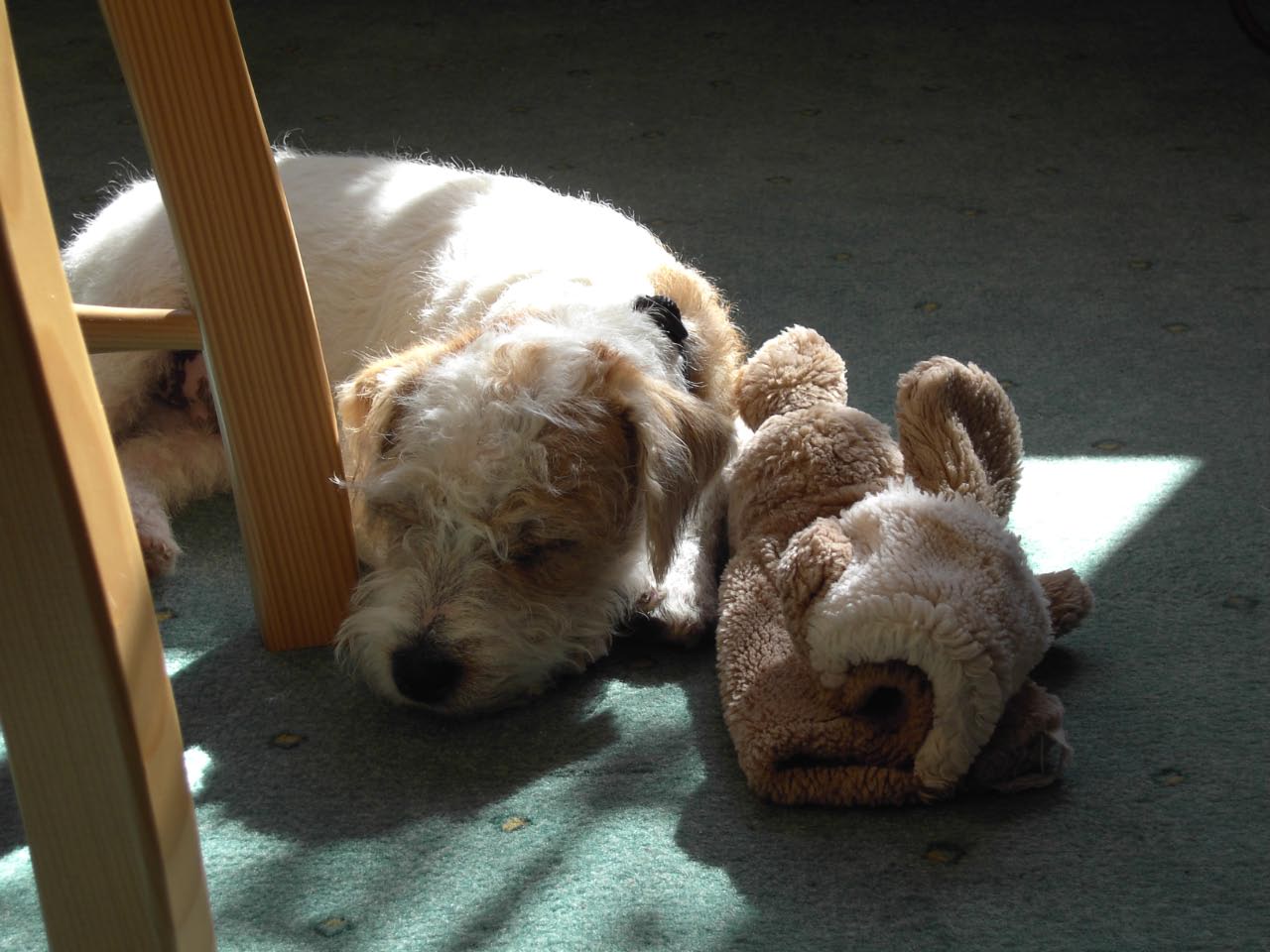 Ostern 2007