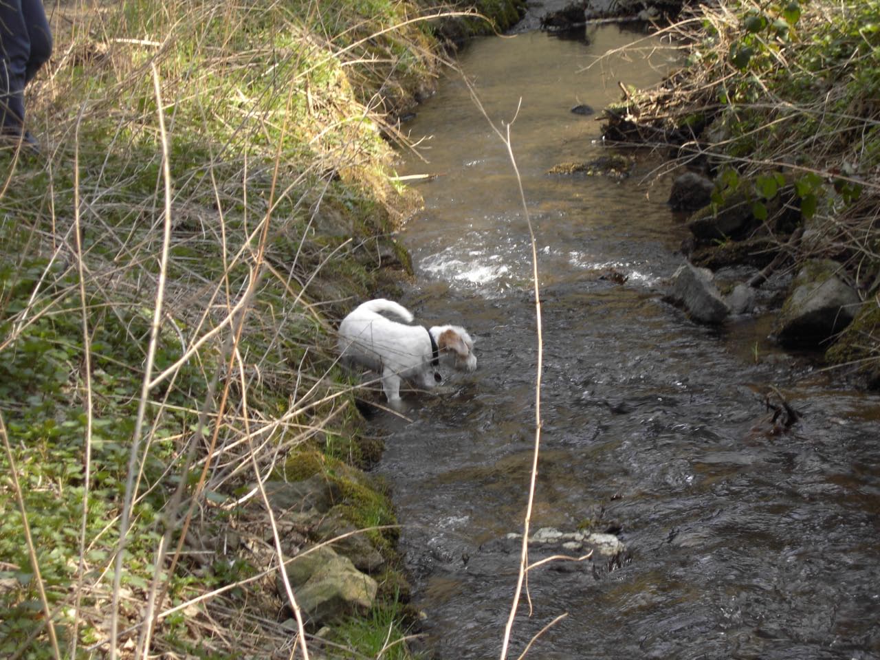Ostern 2007