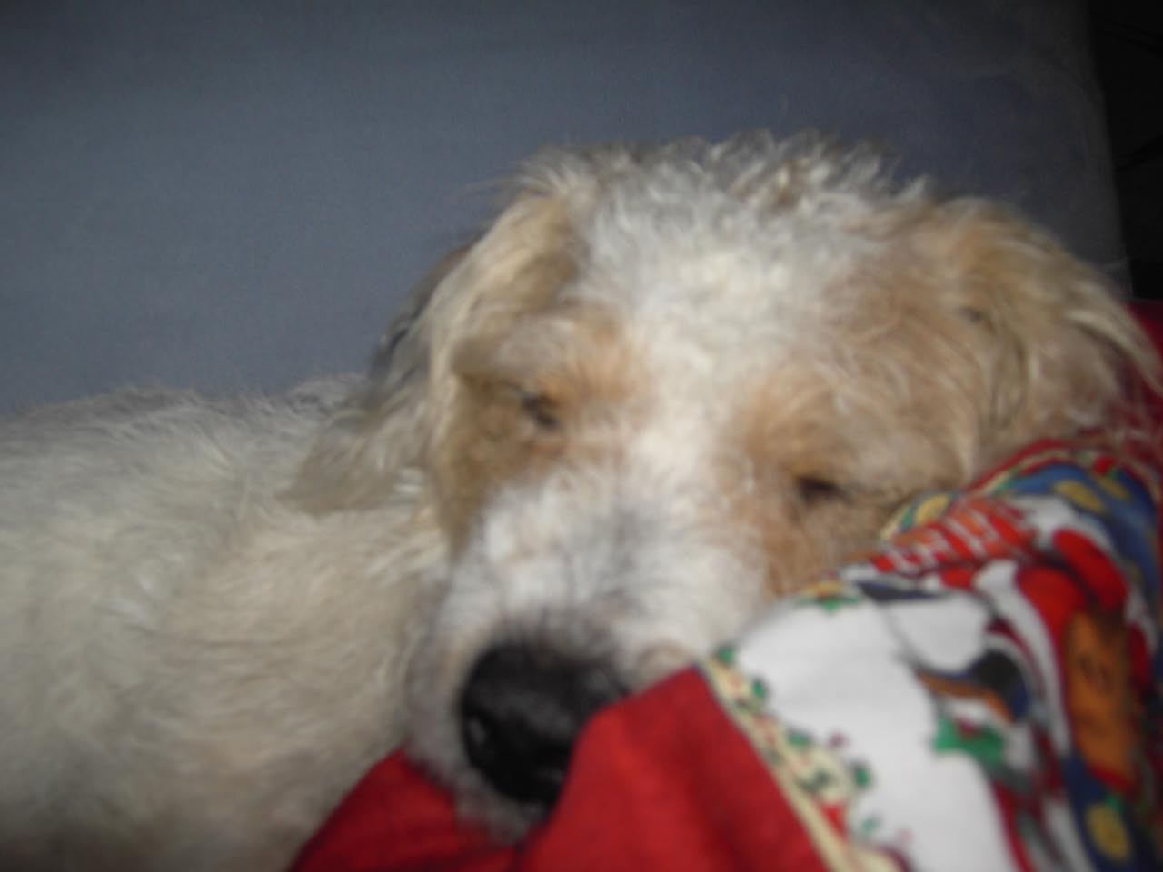 Jack