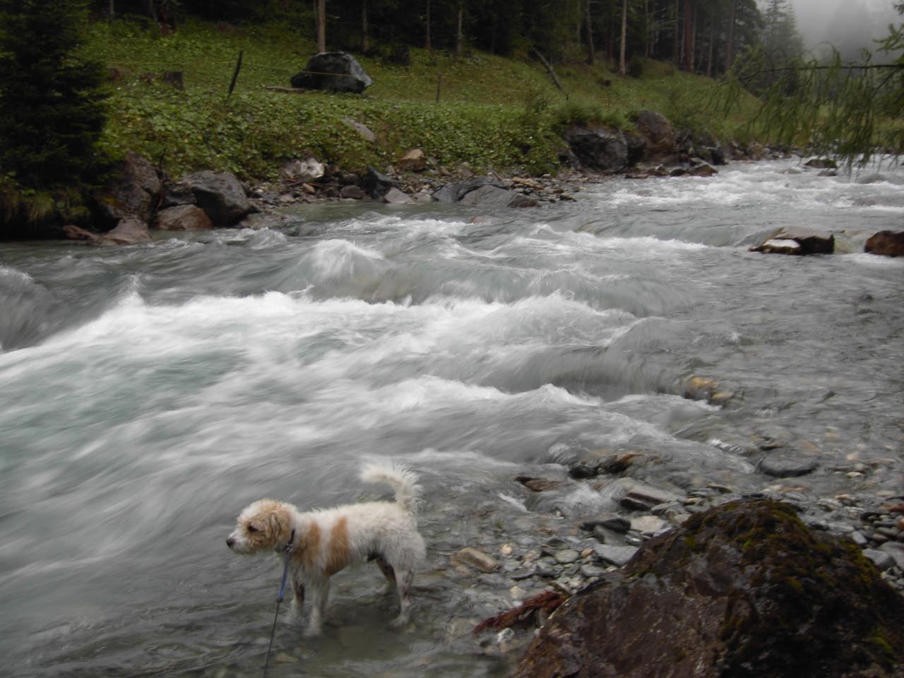 Kals Herbst 2008