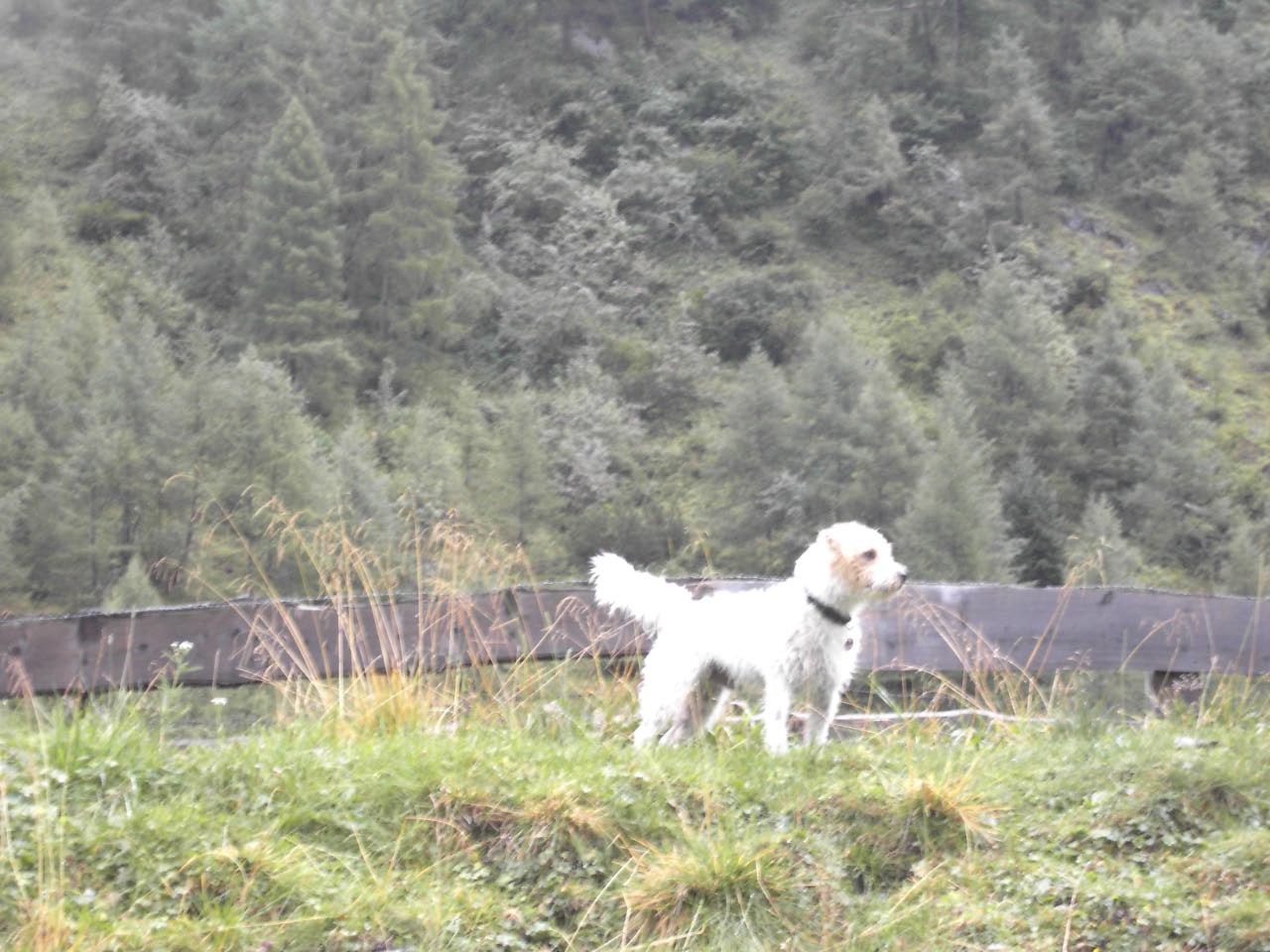Kals Herbst 2008