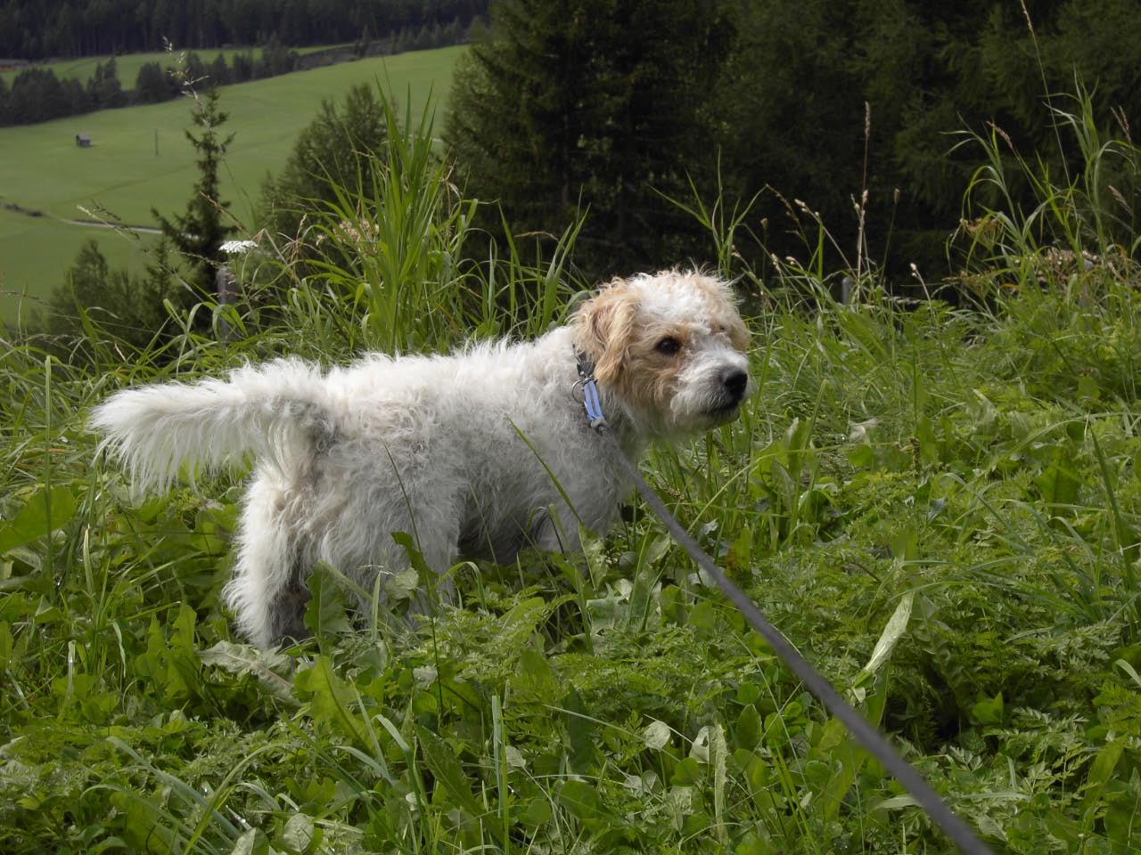 Kals Herbst 2008