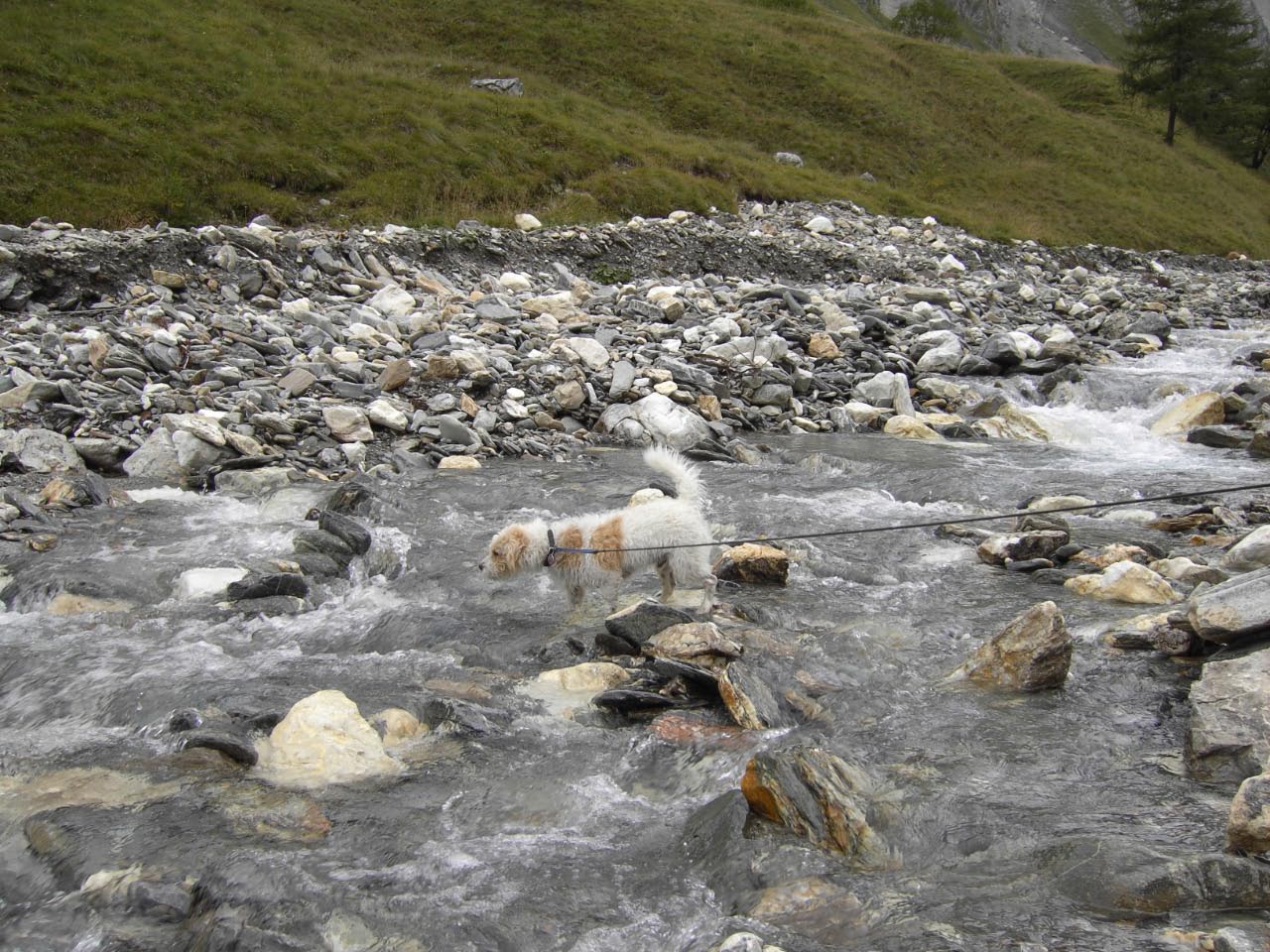 Kals Herbst 2008