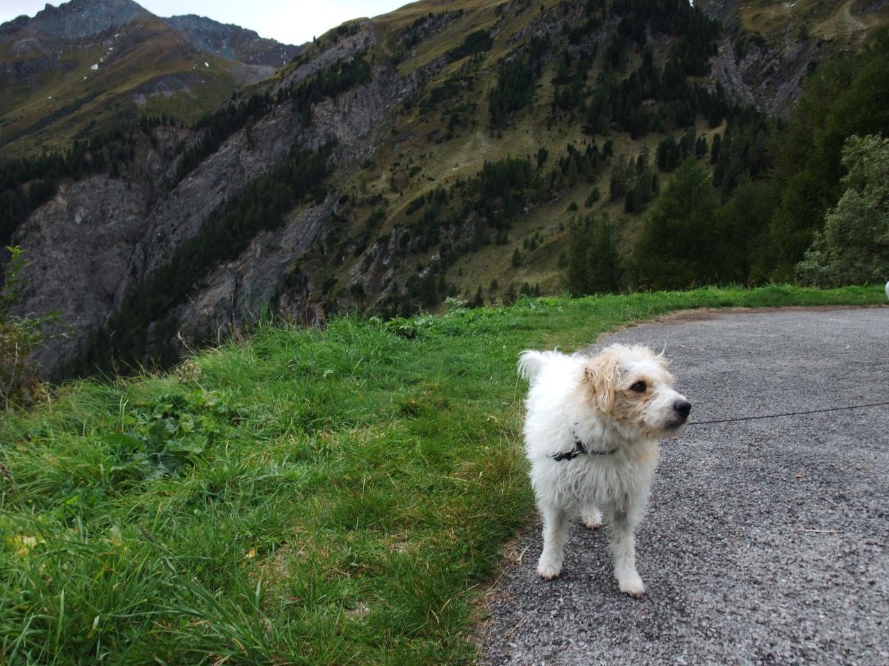 Urlaub in Kals September 2010