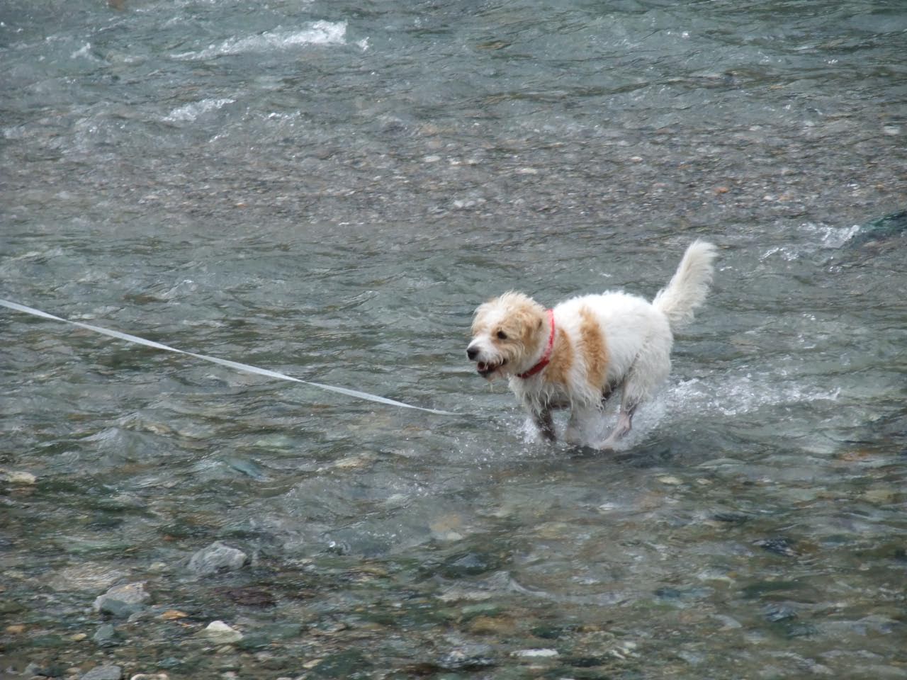 Urlaub in Kals Sommer 2011