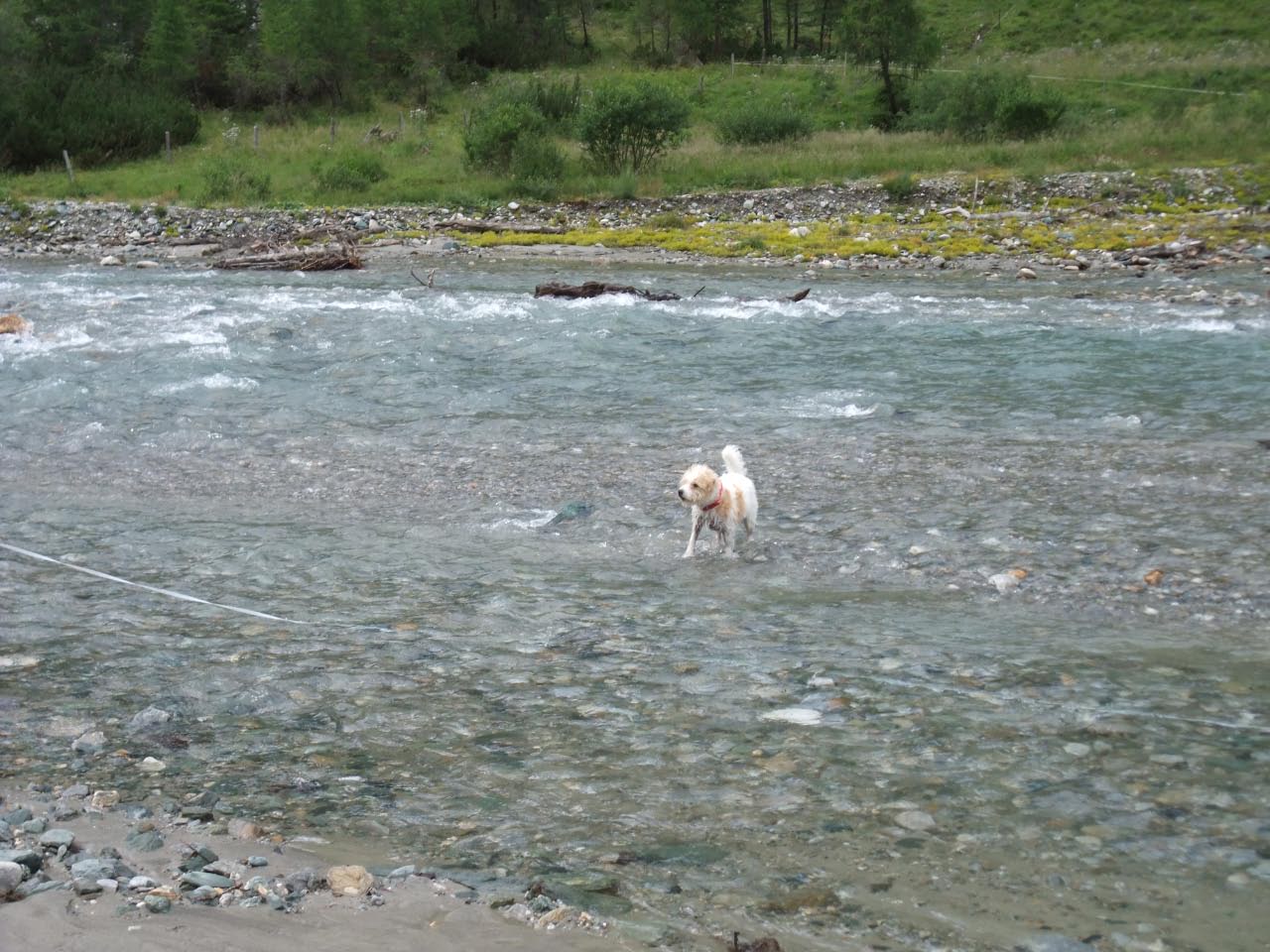Urlaub in Kals Sommer 2011