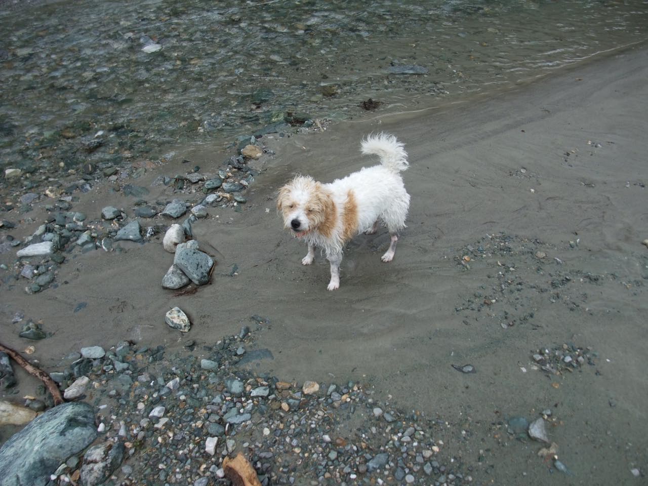 Urlaub in Kals Sommer 2011