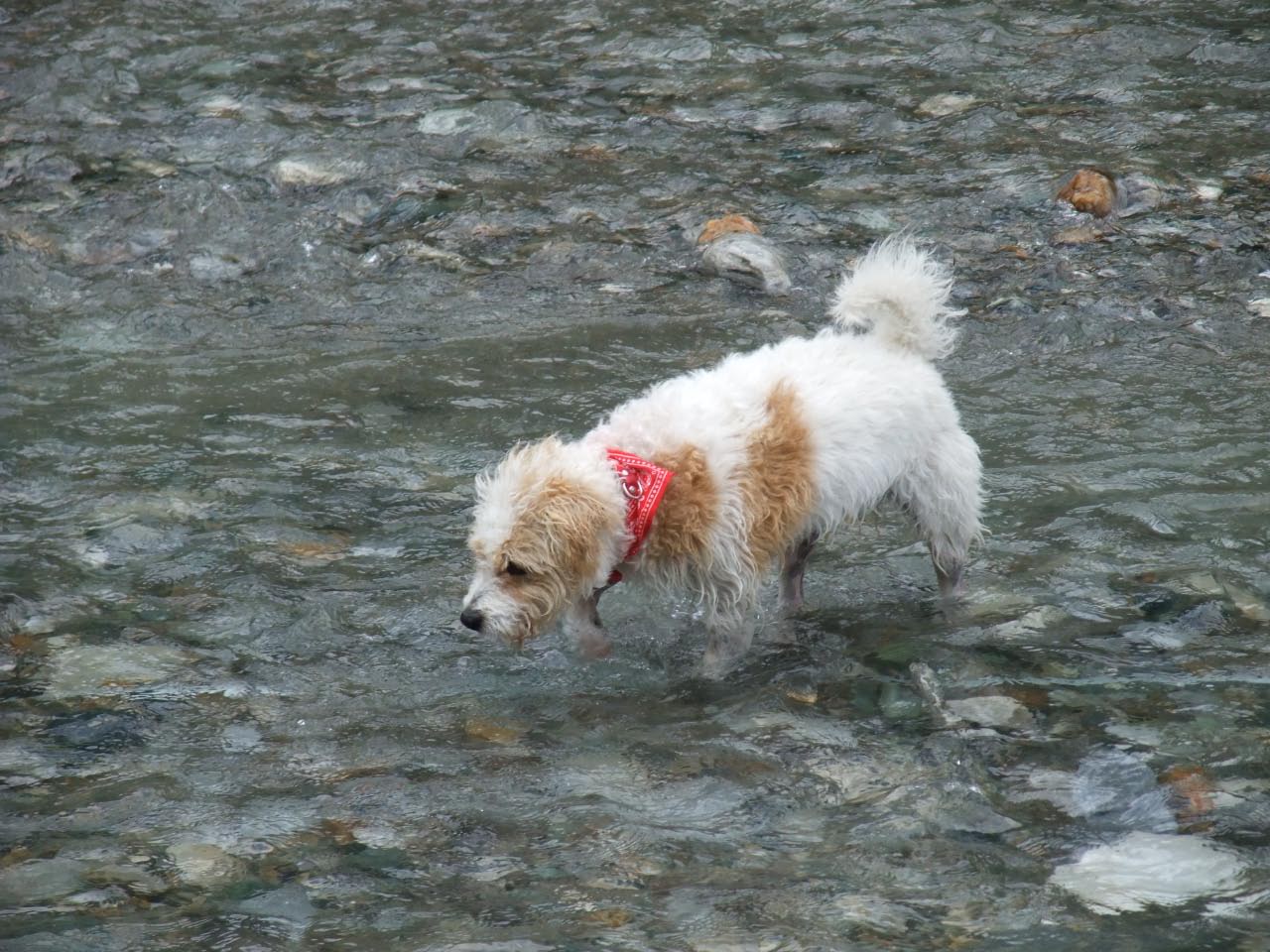 Urlaub in Kals Sommer 2011