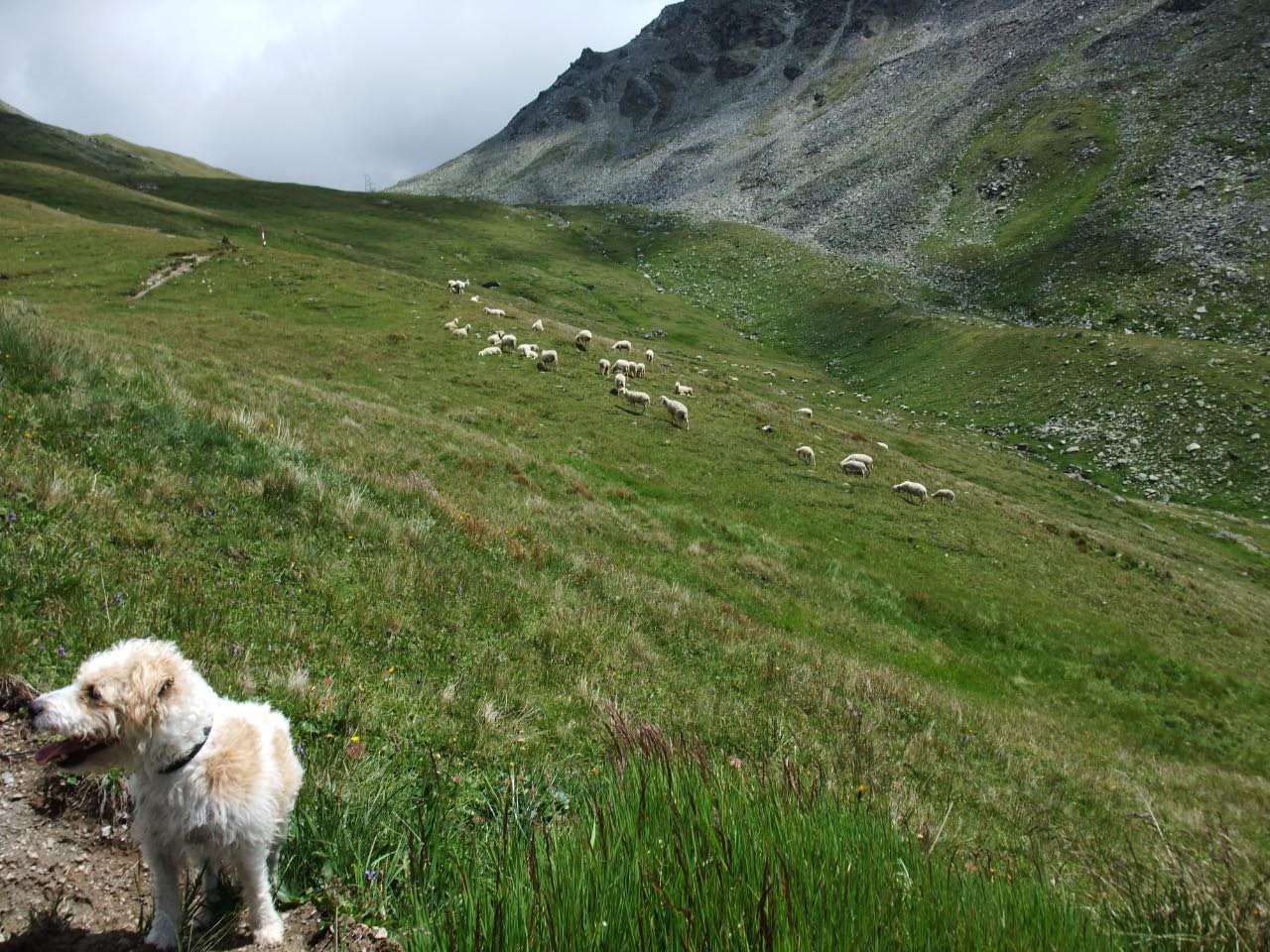 Urlaub in Kals Sommer 2011