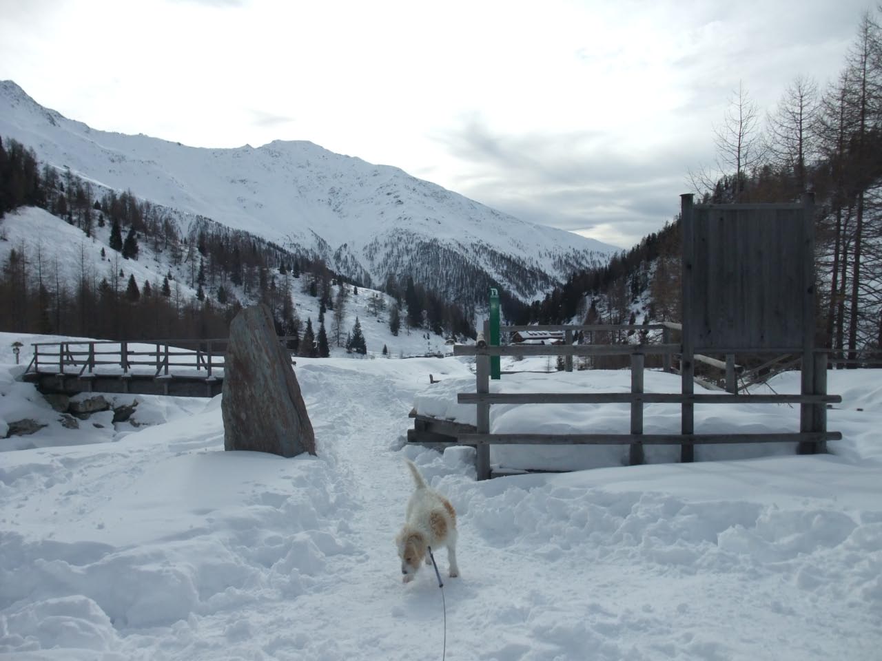 Urlaub in Kals 2012-2013