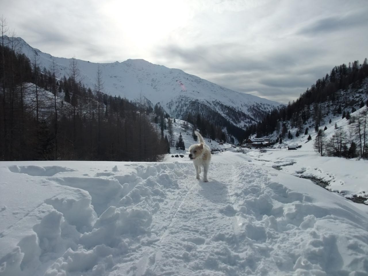Urlaub in Kals 2012-2013