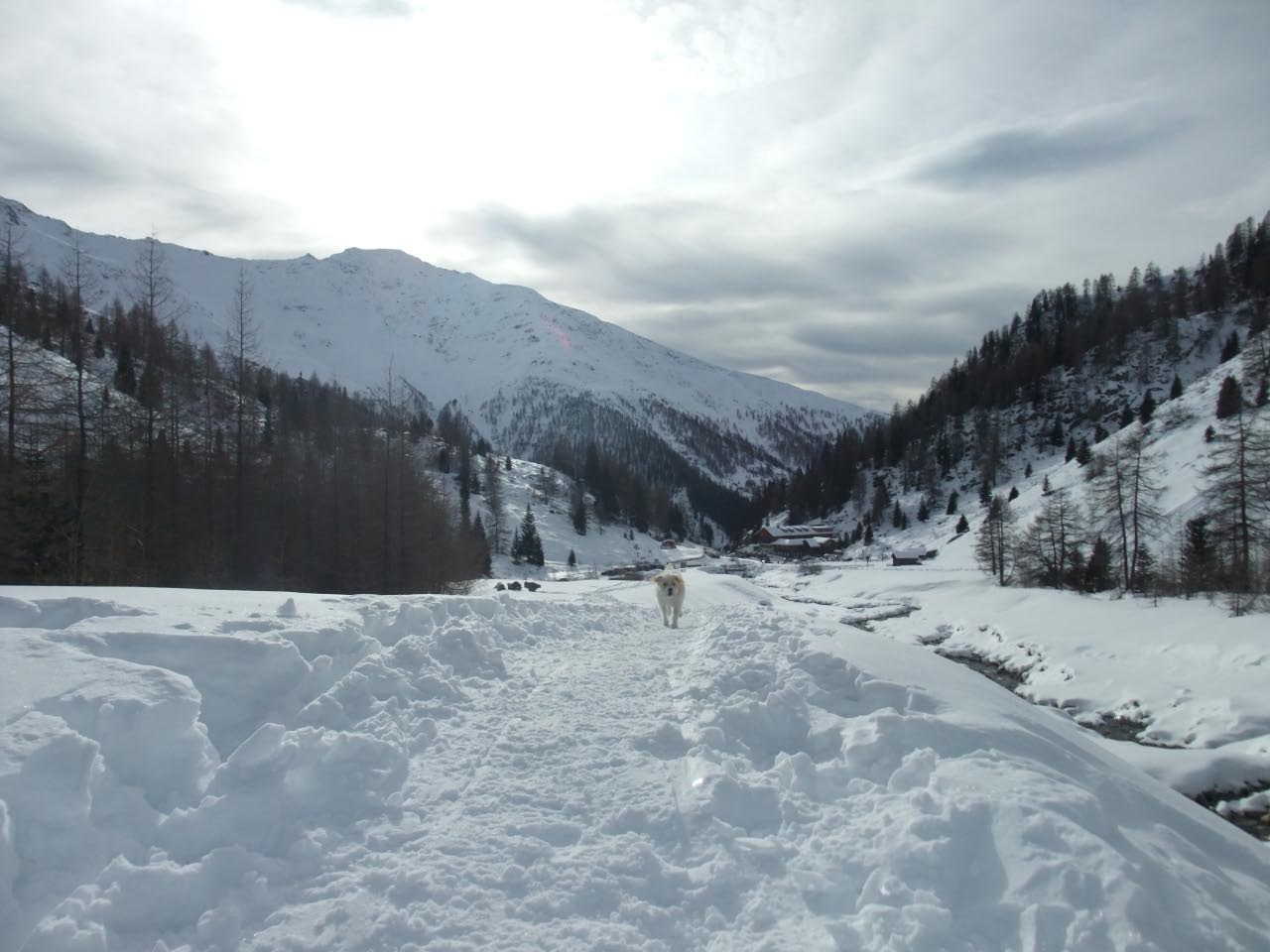 Urlaub in Kals 2012-2013