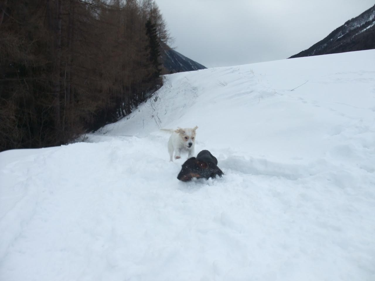 Urlaub in Kals 2012-2013