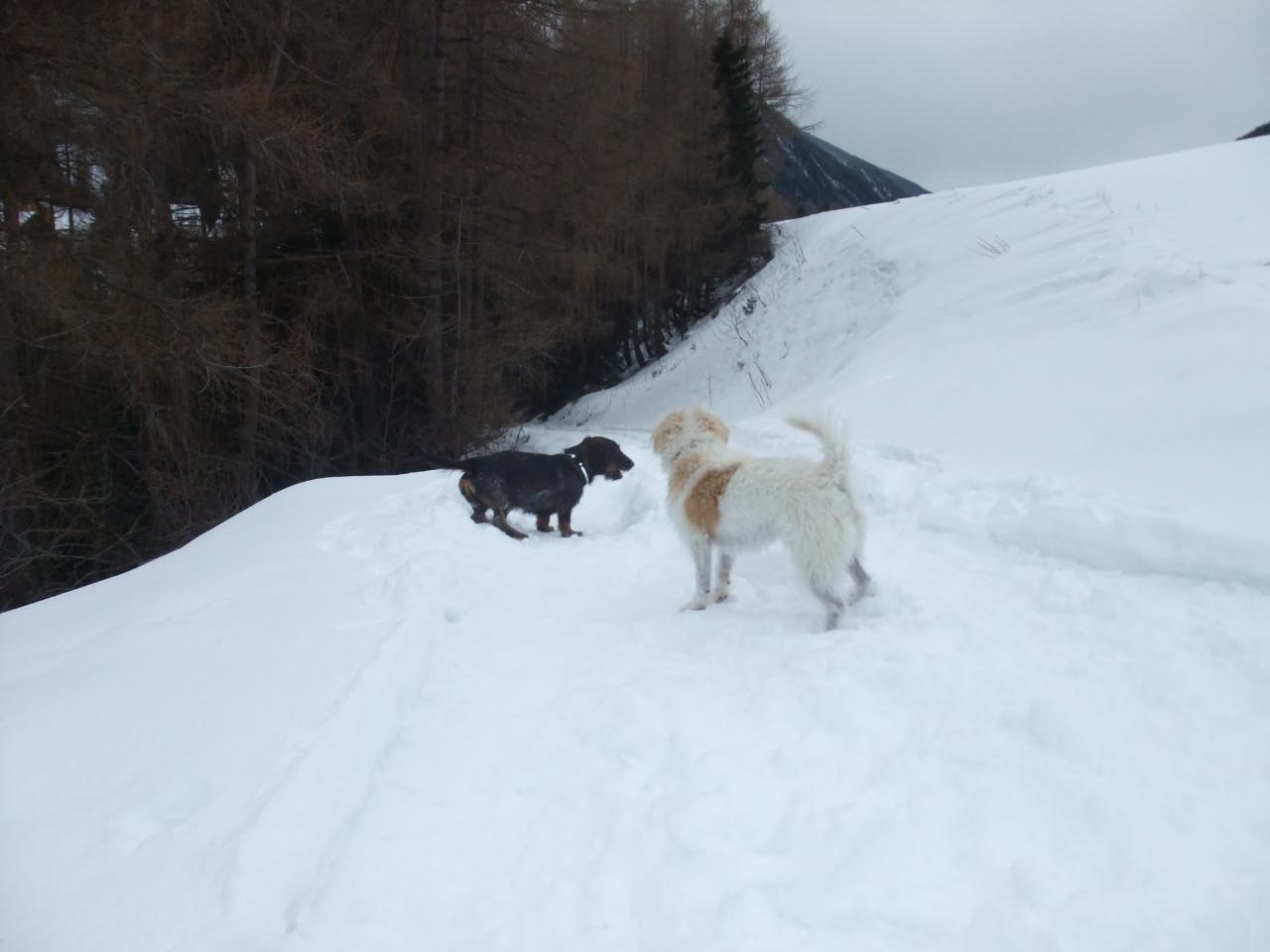 Urlaub in Kals 2012-2013