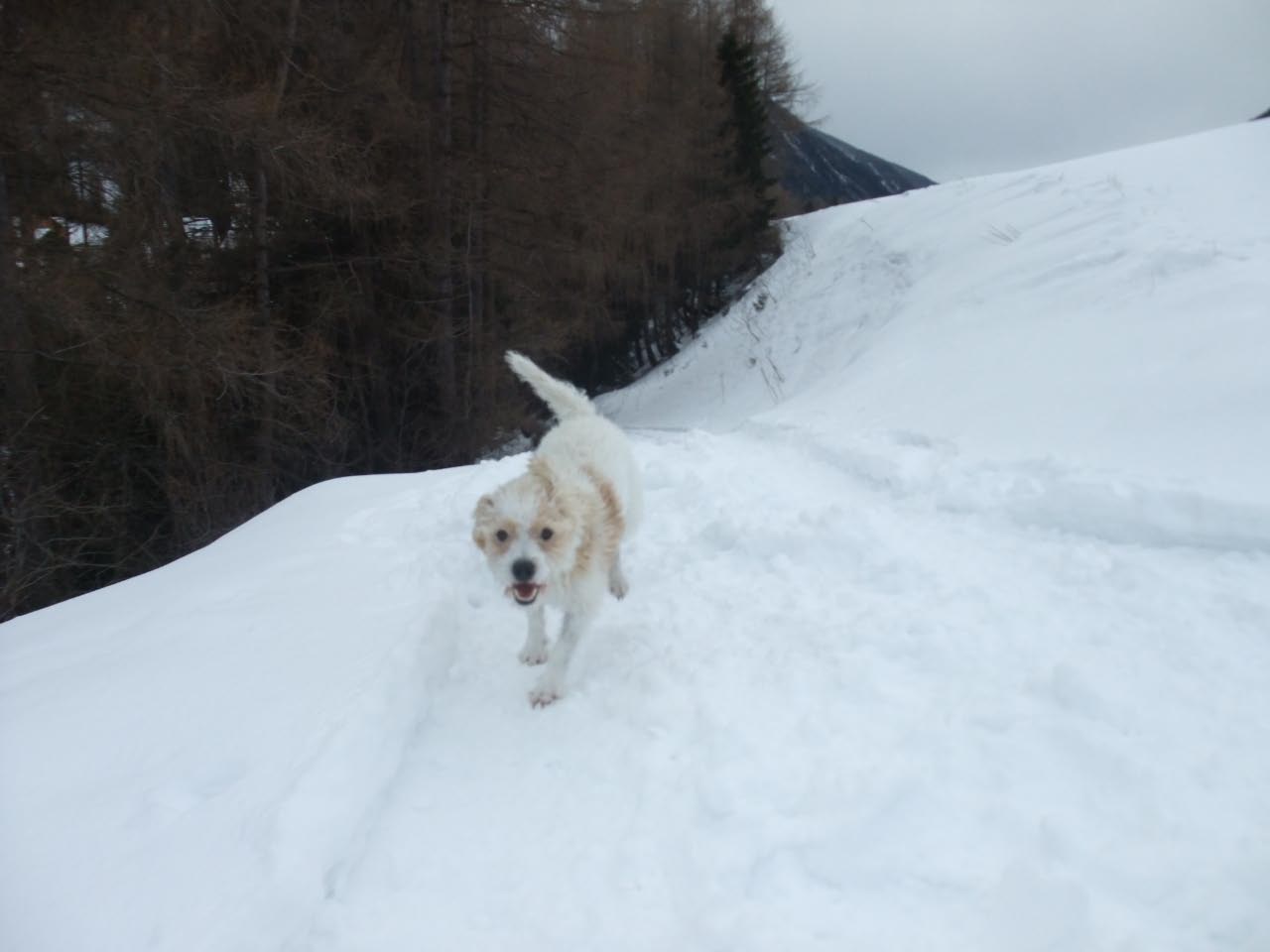 Urlaub in Kals 2012-2013