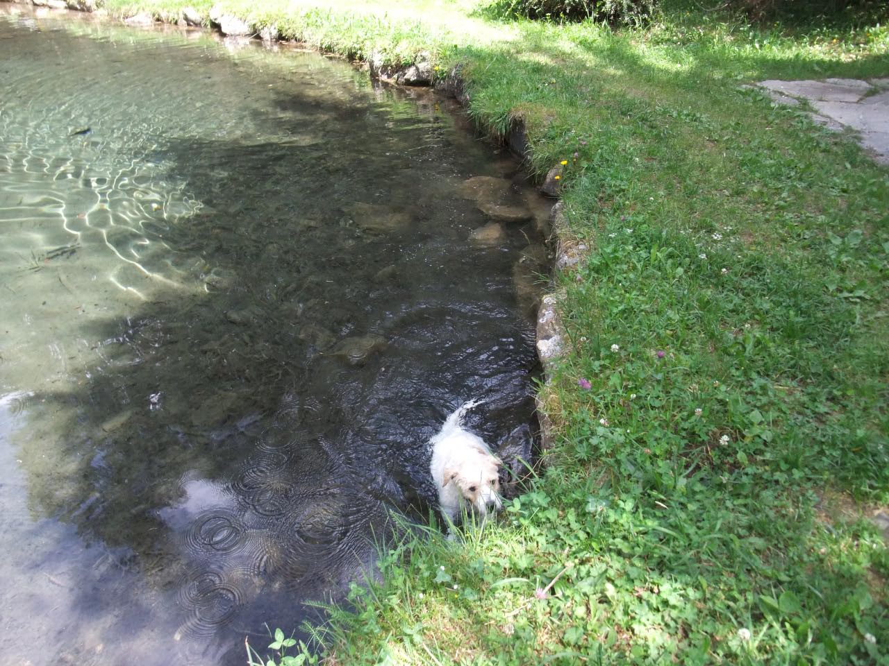 Sommerurlaub in Kals 2013