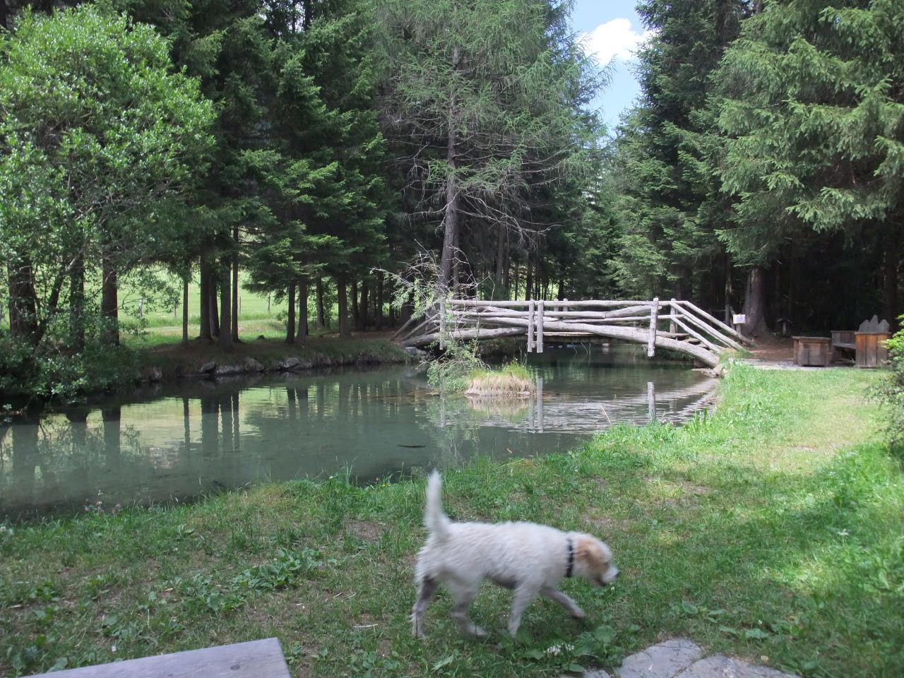 Sommerurlaub in Kals 2013