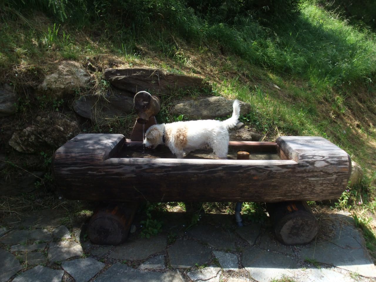 Sommerurlaub in Kals 2013