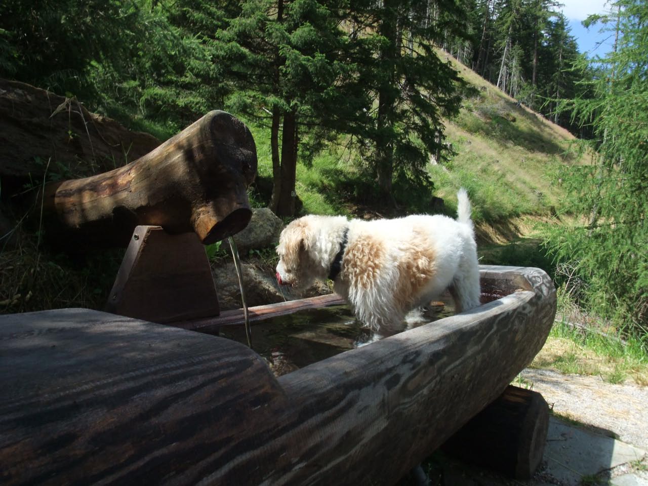 Sommerurlaub in Kals 2013