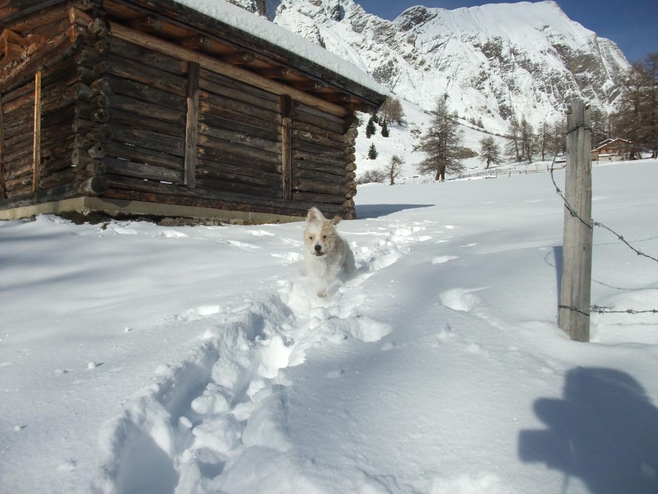 Winterurlaub in Kals 2013/2014