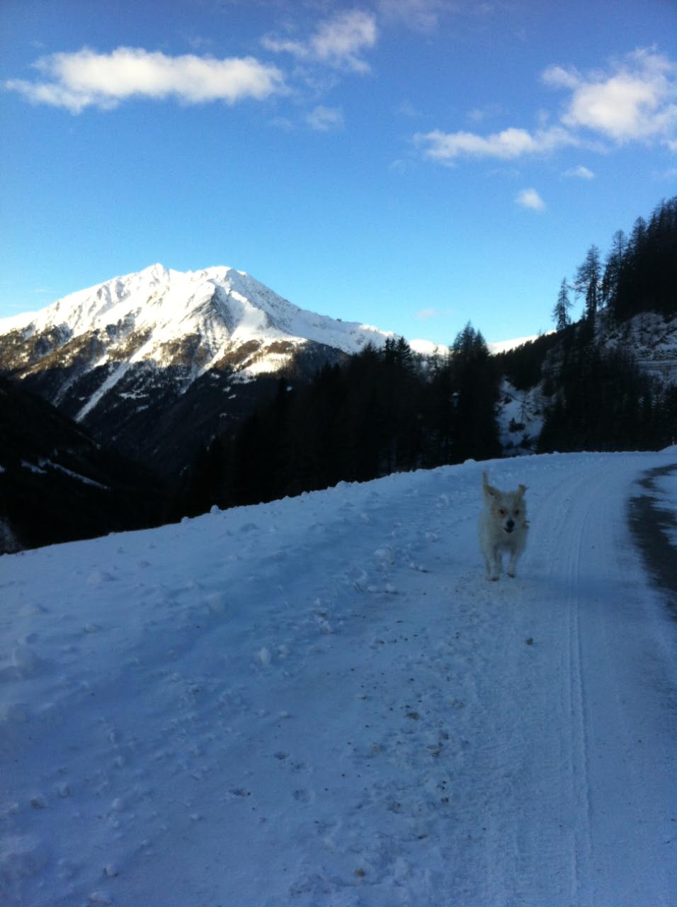 Urlaub in Kals 2014/2015